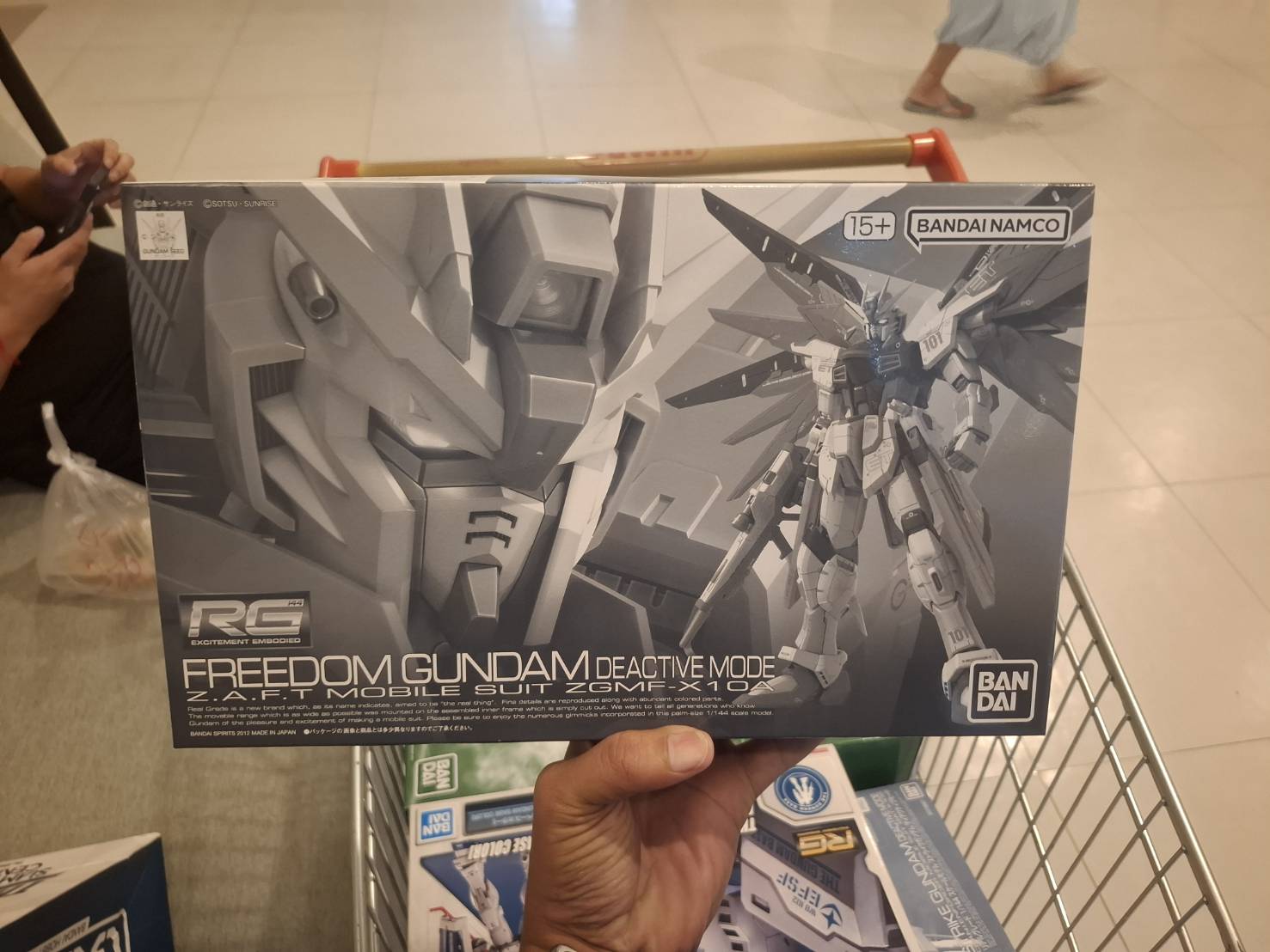 RG 1/144 Freedom Gundam [Deactive Mode]