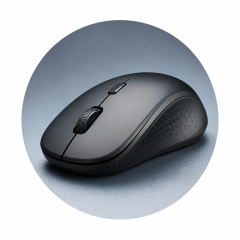 Mouse