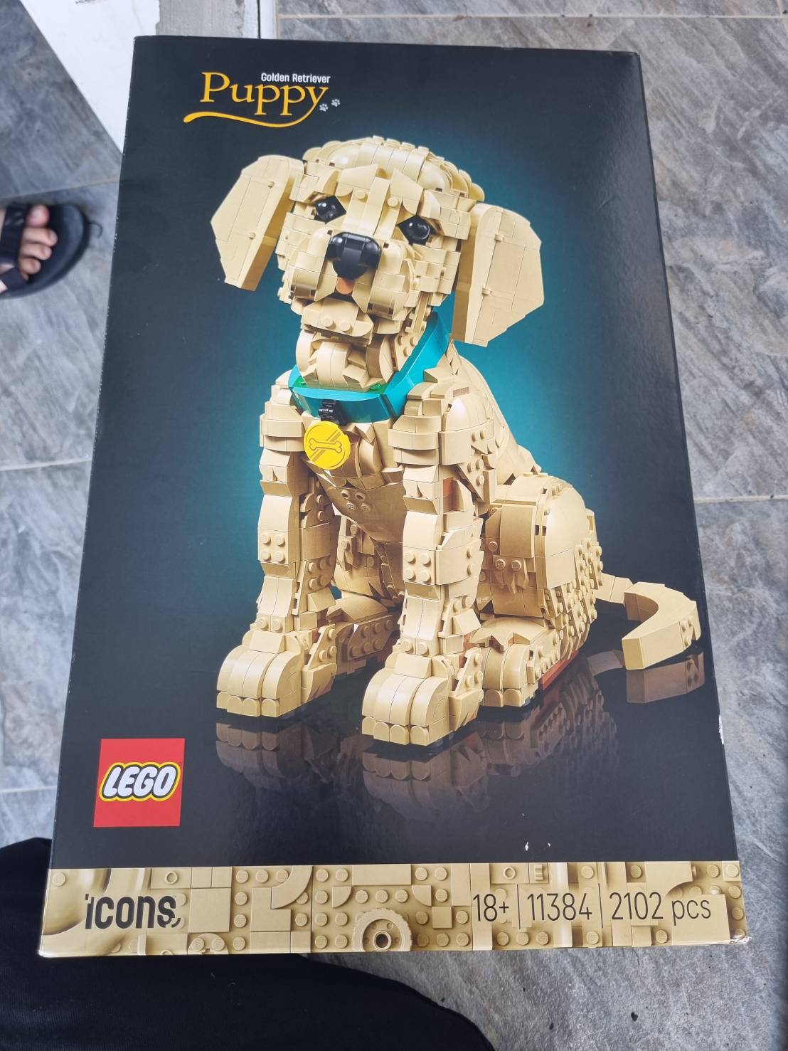 ขาย เลโก้ LEGO Exclusives 11384 Golden Retriever Puppy